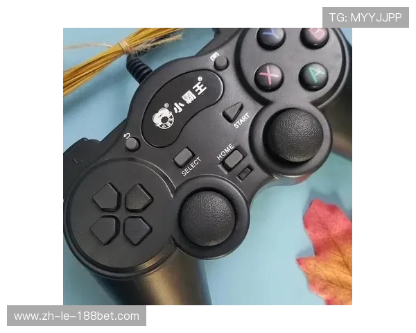 《回忆中的日本经典游戏机再现 小霸王风格的新世纪娱乐体验》